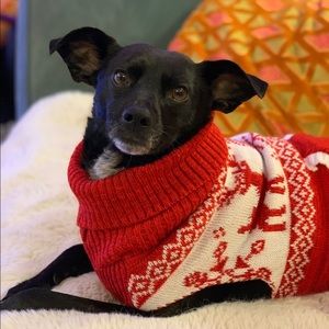 Meet your Posher, Faryl